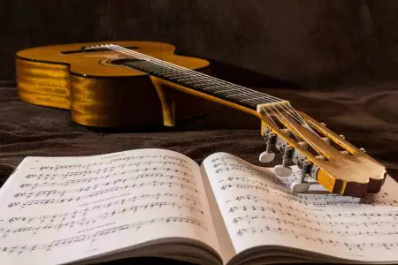 ویژگی گیتار آدمیرا Diana - مشخصات گیتار آدمیرا Diana